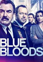 警察世家 第九季 線上看