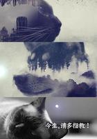 今生，請多指教 線上看