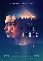 小森林 / Little Woods 線上看