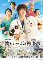 我與尾巴與神樂阪 線上看