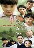 綻放吧百合 線上看