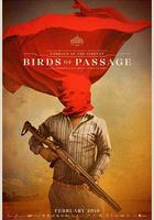 候鳥 / Pájaros de verano 線上看