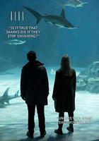 橋 第四季 線上看