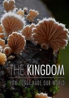 真菌王國 / The Kingdom: How Fungi Made Our World 線上看