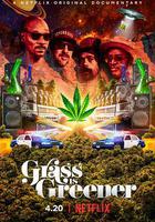 印度妙草 線上看