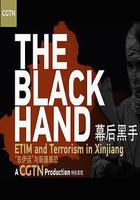 幕後黑手——「東伊運」與新疆暴恐 線上看