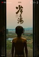 少年與海 線上看