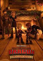 馴龍高手：親衣節日誌 線上看