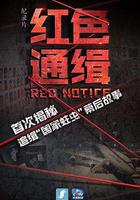 紅色通緝 線上看