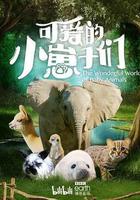 可愛的小崽子們 線上看