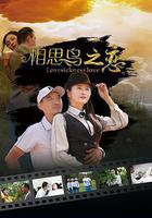 相思鳥之戀 線上看