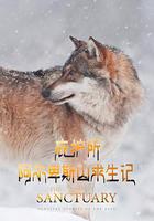 庇護所：阿爾卑斯山求生記 線上看