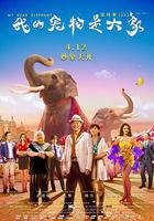 我的寵物是大象 線上看