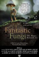 神奇的真菌 / Fantastic Fungi 線上看