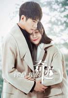 你是我的奇蹟 線上看