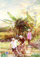 哈哈農夫 線上看