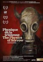 悲傷之物理 線上看