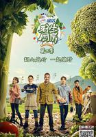 野生廚房 第二季 線上看