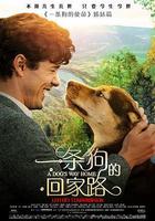 一條狗的回家路(A Dog's Way Home) 線上看