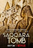塞加拉陵墓揭祕 / Secrets of the Saqqara Tomb 線上看