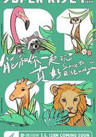 Super R1SE·周年季 線上看