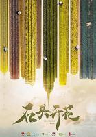 石頭開花 線上看