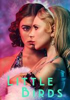 小鳥們 線上看