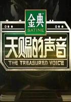 天賜的聲音 第一季 線上看