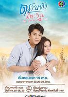 直到天空迎來太陽 線上看