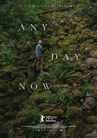 此時此愛 / Ensilumi 線上看