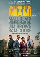 邁阿密的一夜 線上看