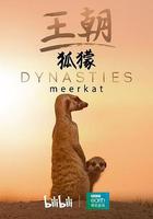 王朝：狐獴特輯 線上看