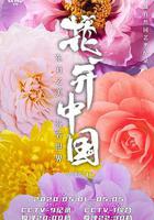 花開中國 線上看