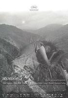 記憶 / Memoria 線上看