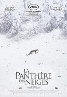 雪豹女王 線上看