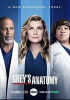 實習醫生格蕾 第十八季 線上看