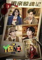 YES OR NO 線上看