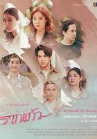 情根固愛 線上看