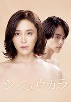 40歲開始 線上看