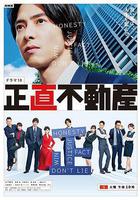 誠實房地產 / 正直不動産 線上看