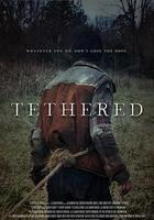 脣亡齒寒 線上看