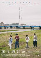 貓貓逃走了 線上看