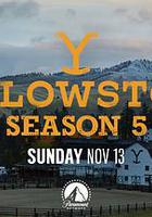 黃石 第五季 / Yellowstone Season 5 線上看