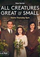 萬物生靈 第三季 線上看