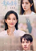 親愛的生命 線上看