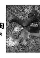 奧莉佛是狗，（天哪！！）這傢伙 續篇 / オリバーな犬、（Gosh!!）このヤロウ 続編 線上看