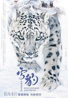 雪豹和她的朋友們 線上看