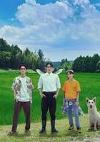 天狗的廚房 線上看