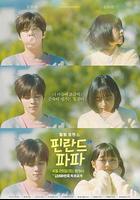 芬蘭爸爸 線上看