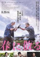 凋零在春天 / 春に散る 線上看